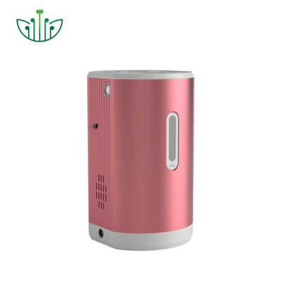 Good price Przenośny inhalator wodorowy z 99,9% czystym wodorem, wydajność 150 ml/min i 75 ml/min tlenu do terapii w Internecie