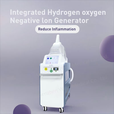 Good price 220-woltowy inhalator tlenu z wodorem i jonami ujemnymi w Internecie