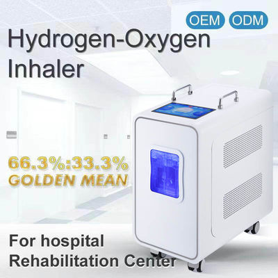 Good price 110v 220v domowa maszyna do inhalacji wodoru PEM 3000ml w Internecie