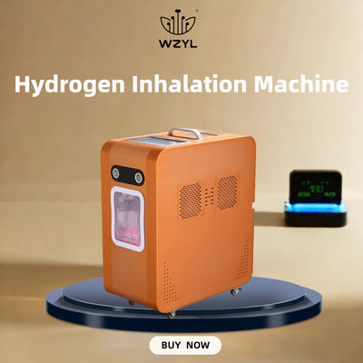 Dobra cena. AC220V Hydrogen Oxygen Inhaler Hydrogen Inhaling Machine 3000 ml/M w Internecie